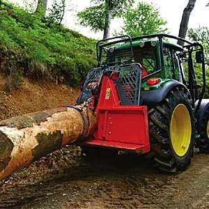 VERRICELLI FORESTALI